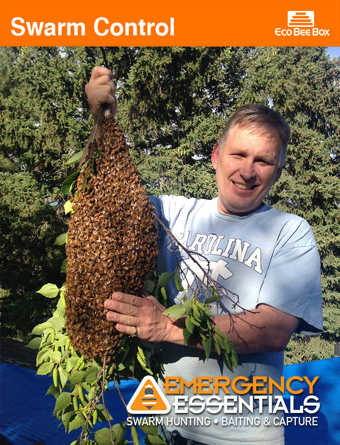 swarmcontrol – Eco Bee Box – Modern Urban Beekeeping